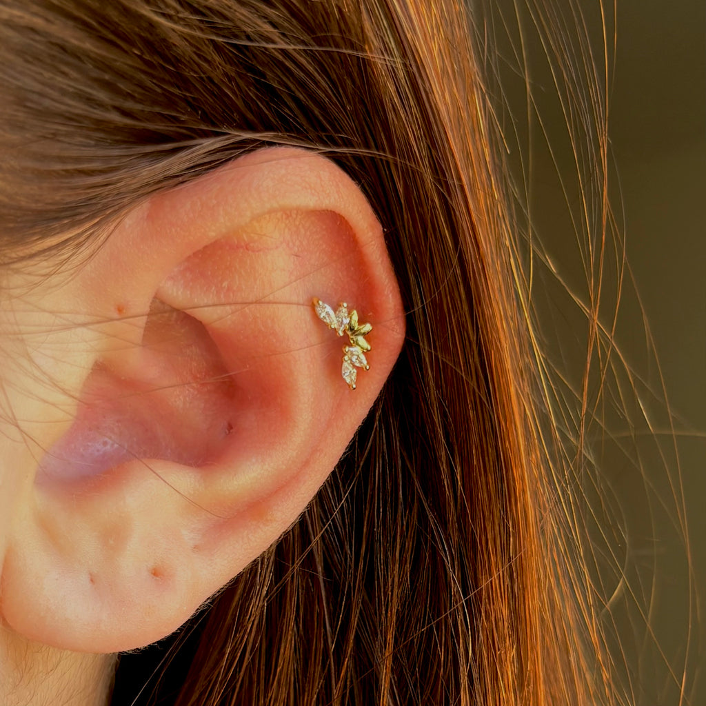 Golden Leaf Crown