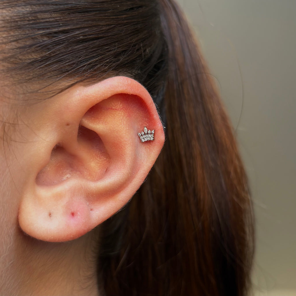 Crown Labret