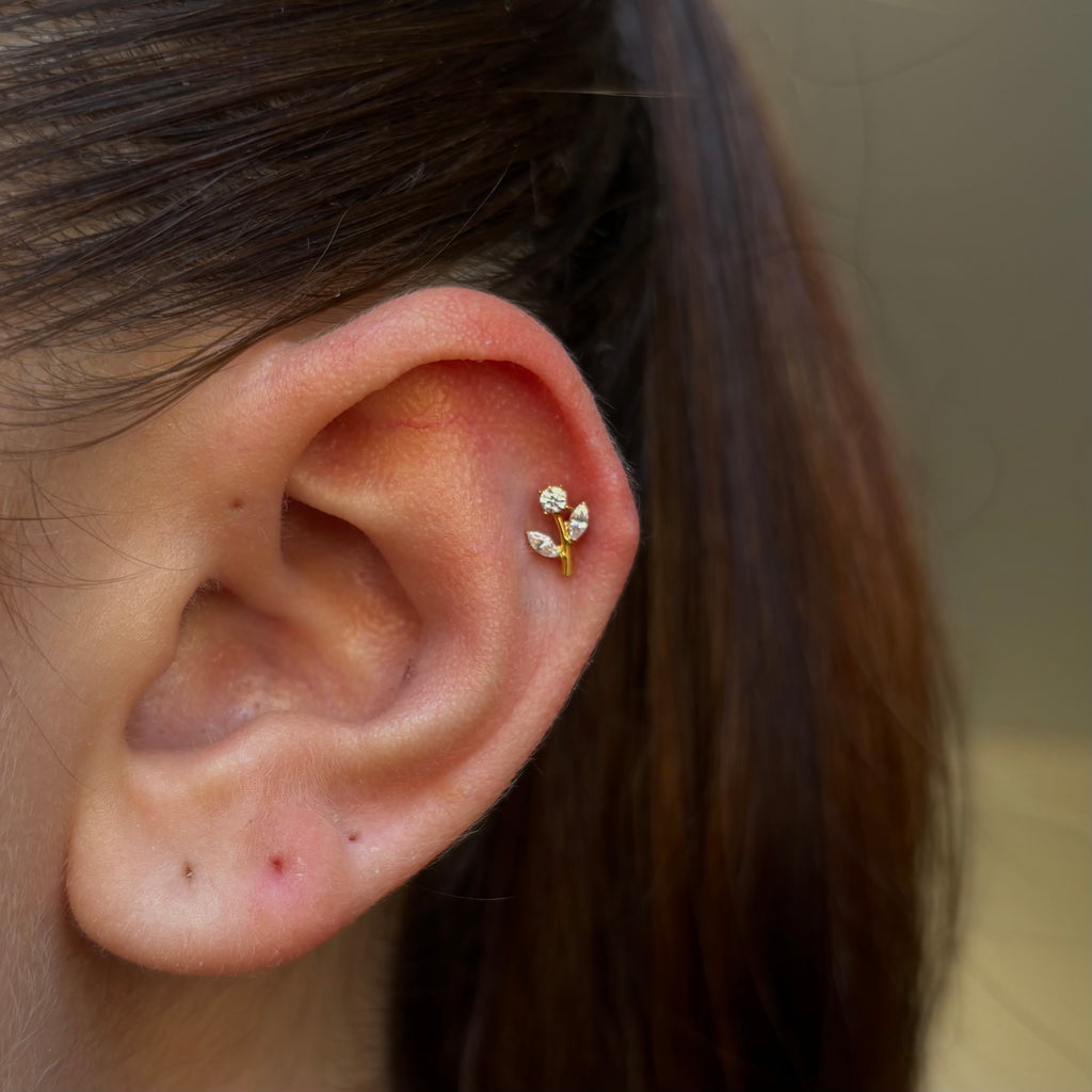 Blossom Vine Labret